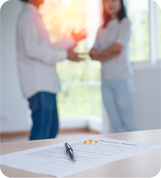 Annulment / Declaration of City of Marriage Prosecution/Opposition